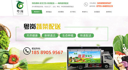 廣東新杰膳食服務-東莞長安蔬菜配送網(wǎng)站建設成功案例