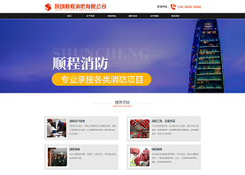 成功案例_廣州網(wǎng)站建設_深圳網(wǎng)站建設_合優(yōu)網(wǎng)站制作_企業(yè)網(wǎng)站建設案例